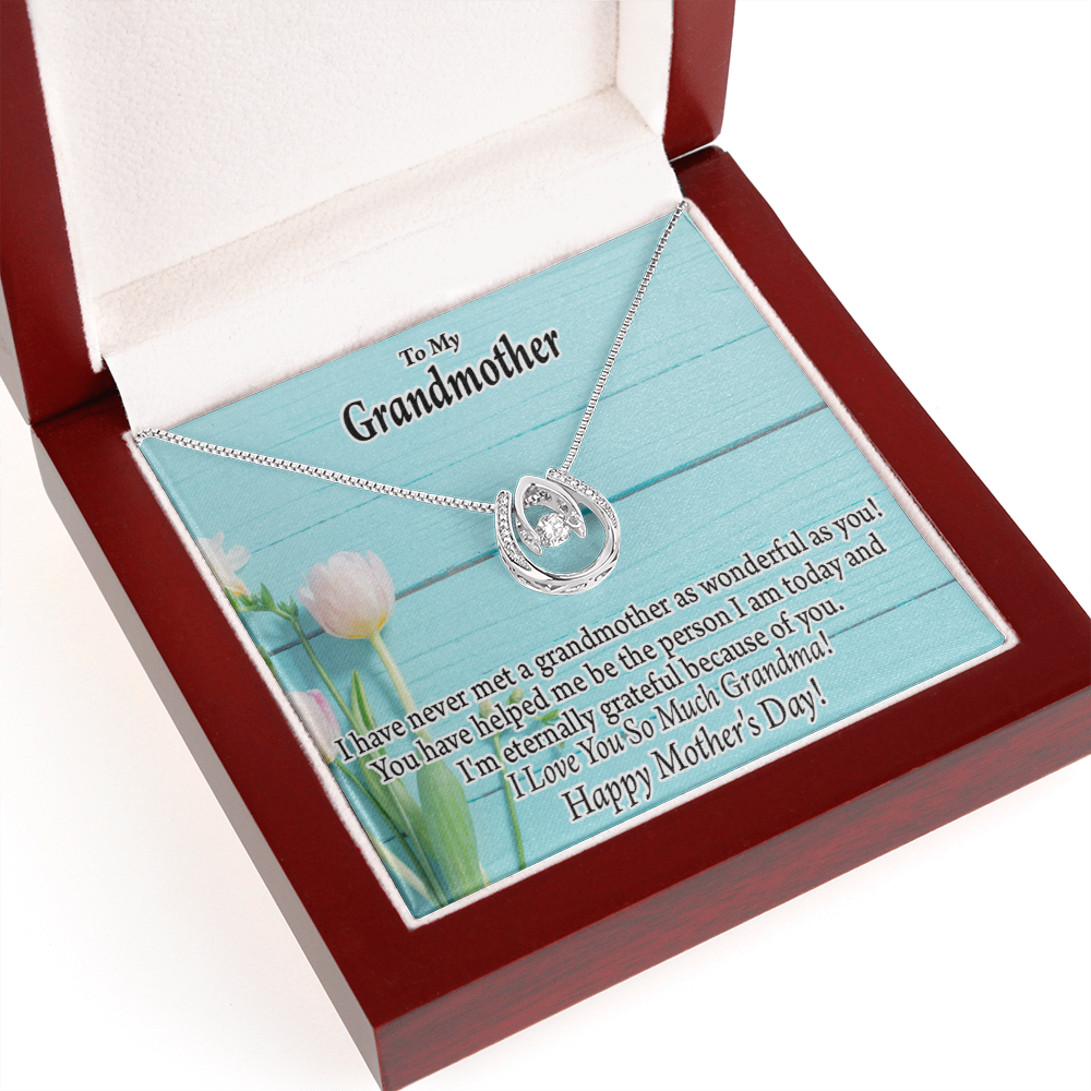 To My Grandmother Happy Mother's Day Lucky Horseshoe Necklace Message Card 14k w CZ Crystals-Express Your Love Gifts