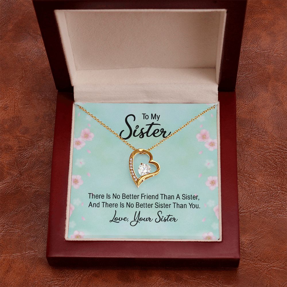 To My Sister There is No Better Friend Than a Sister Forever Necklace w Message Card-Express Your Love Gifts