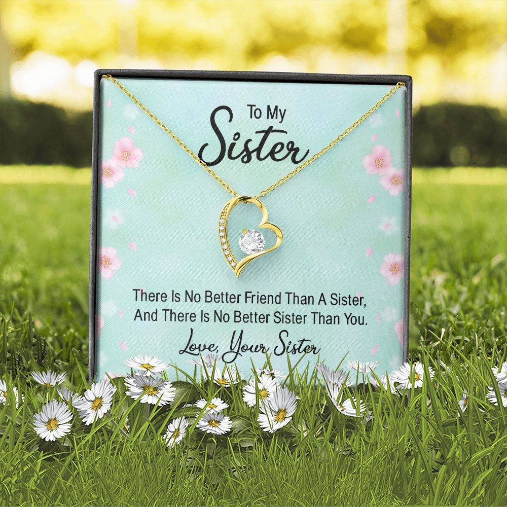 To My Sister There is No Better Friend Than a Sister Forever Necklace w Message Card-Express Your Love Gifts