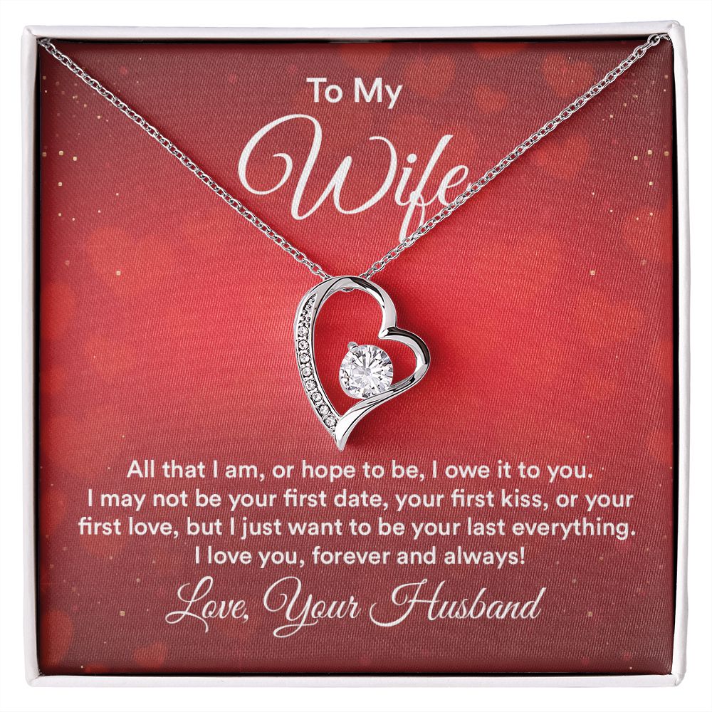 To My Wife All That I Am Forever Necklace w Message Card-Express Your Love Gifts