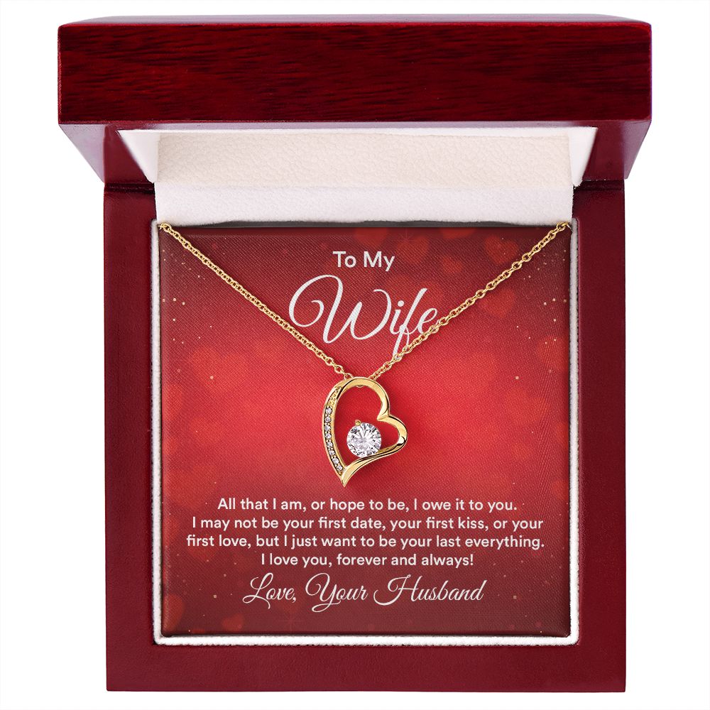 To My Wife All That I Am Forever Necklace w Message Card-Express Your Love Gifts