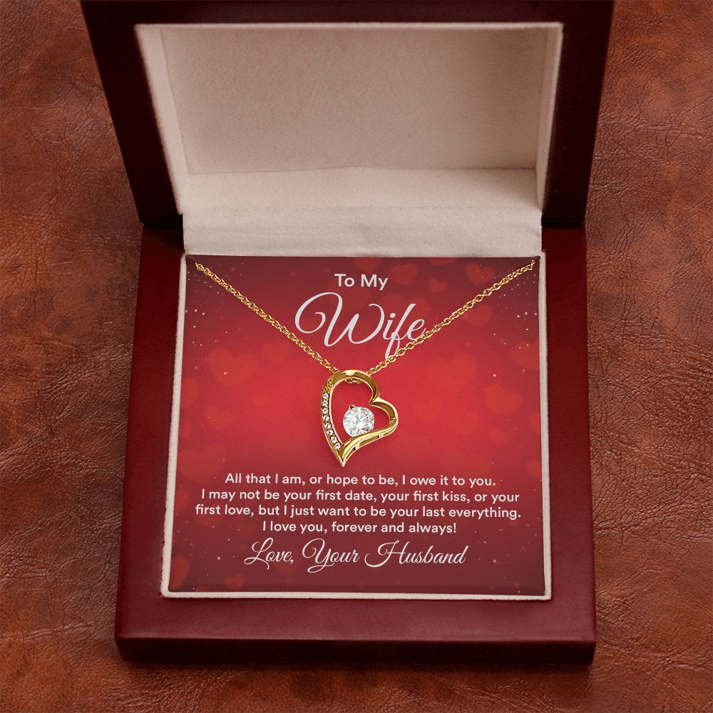 To My Wife All That I Am Forever Necklace w Message Card-Express Your Love Gifts