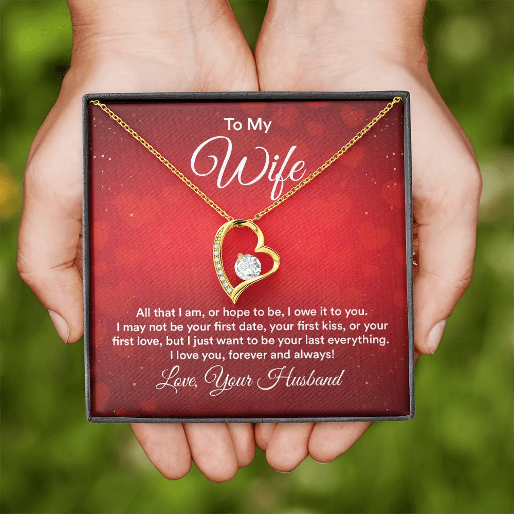 To My Wife All That I Am Forever Necklace w Message Card-Express Your Love Gifts