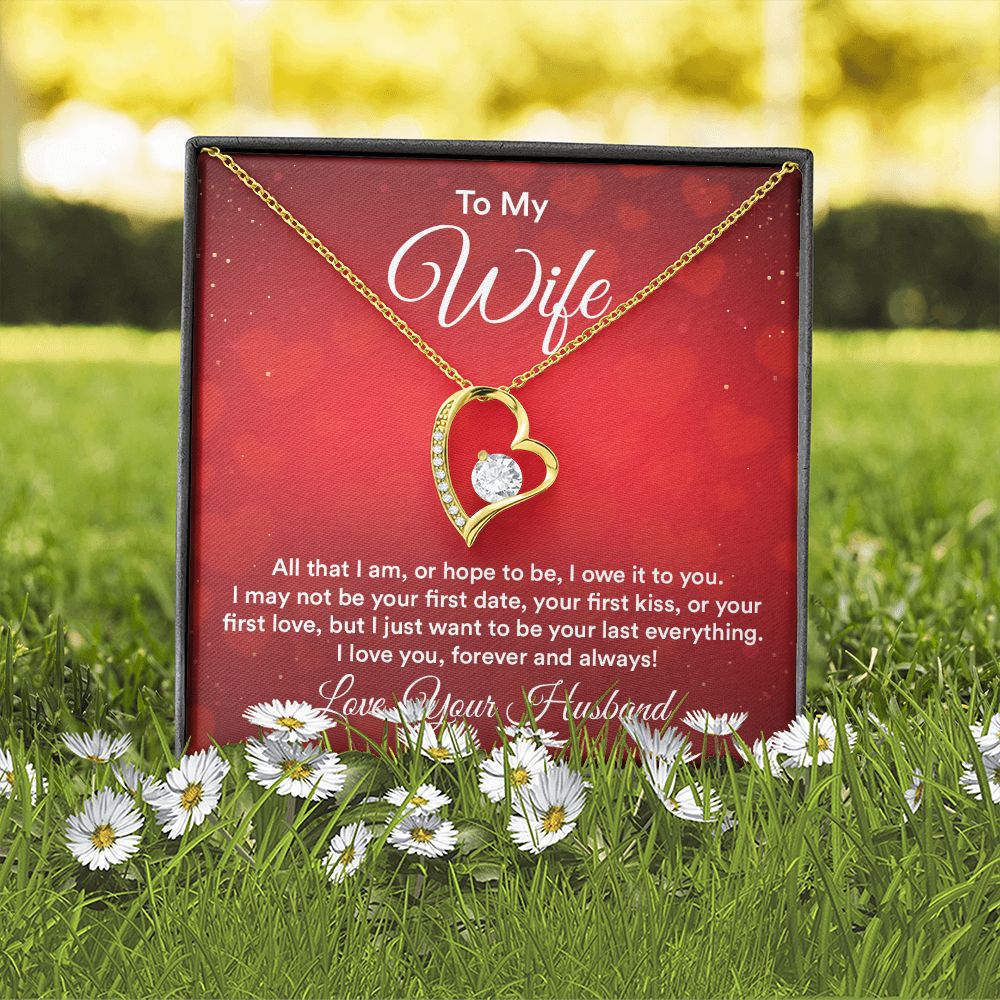 To My Wife All That I Am Forever Necklace w Message Card-Express Your Love Gifts
