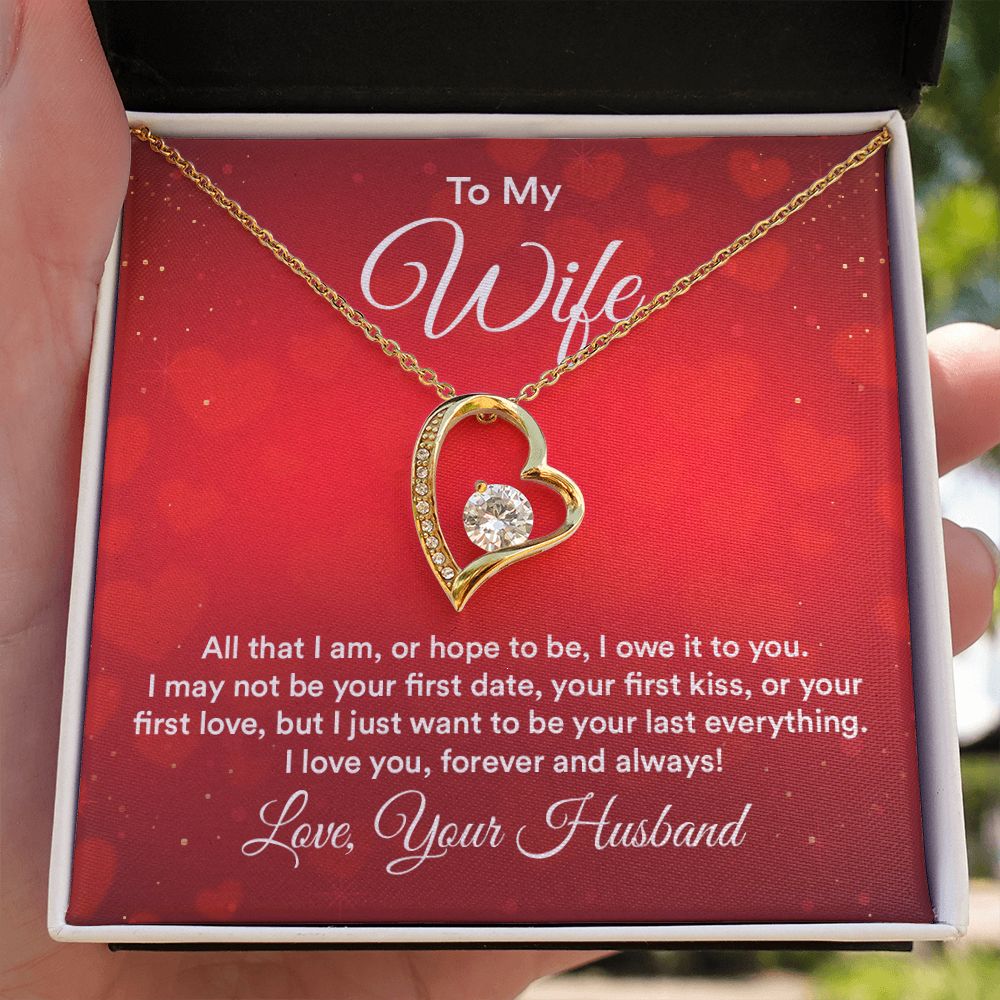 To My Wife All That I Am Forever Necklace w Message Card-Express Your Love Gifts