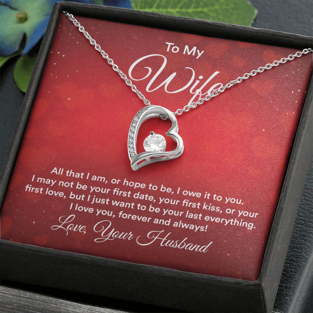 To My Wife All That I Am Forever Necklace w Message Card-Express Your Love Gifts