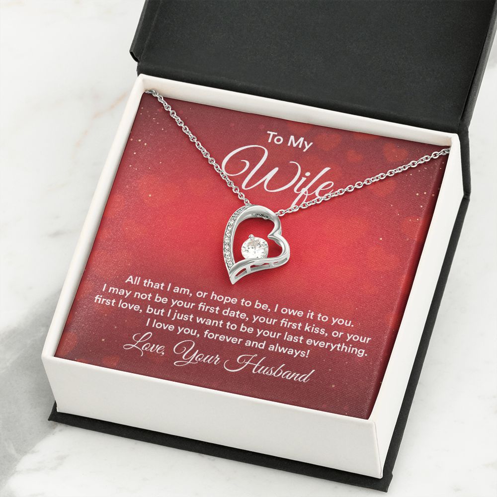 To My Wife All That I Am Forever Necklace w Message Card-Express Your Love Gifts