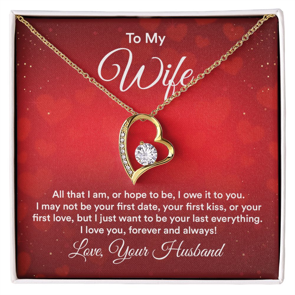 To My Wife All That I Am Forever Necklace w Message Card-Express Your Love Gifts