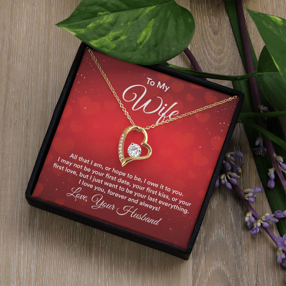 To My Wife All That I Am Forever Necklace w Message Card-Express Your Love Gifts