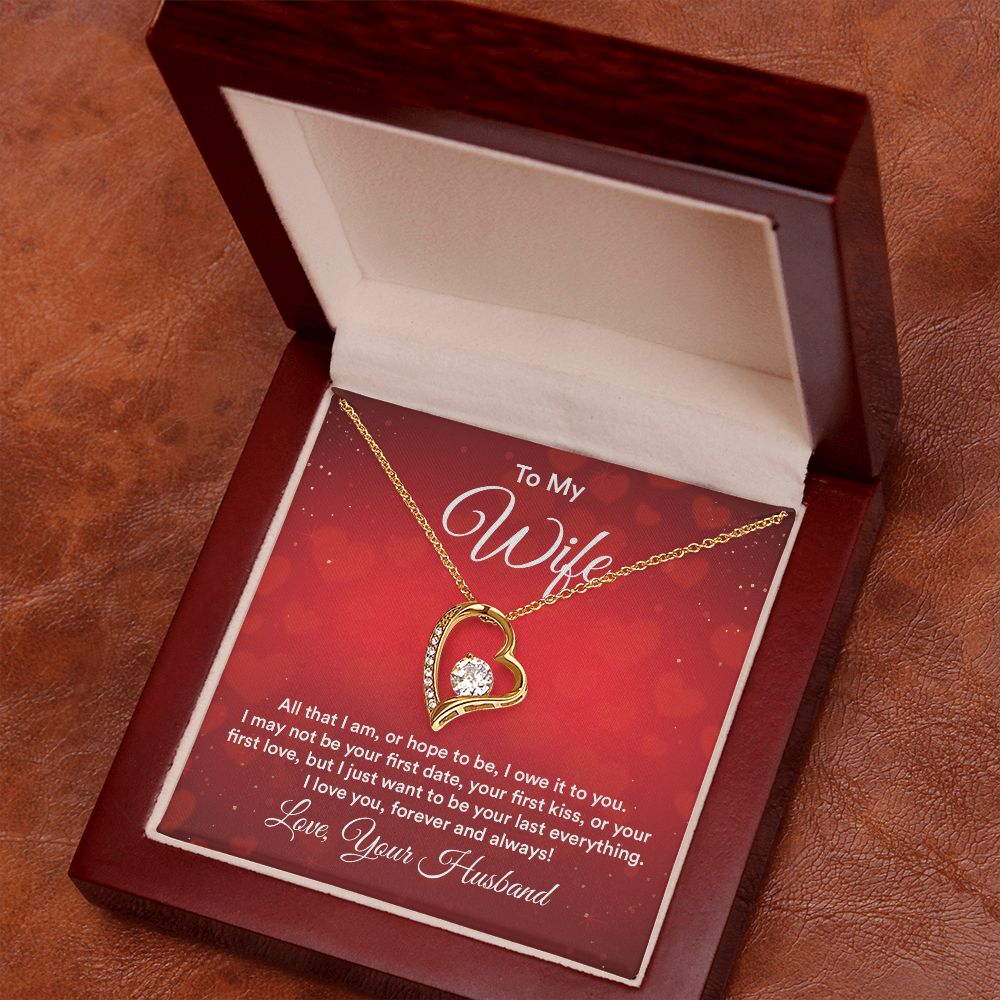 To My Wife All That I Am Forever Necklace w Message Card-Express Your Love Gifts