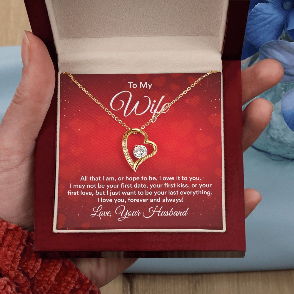 To My Wife All That I Am Forever Necklace w Message Card-Express Your Love Gifts
