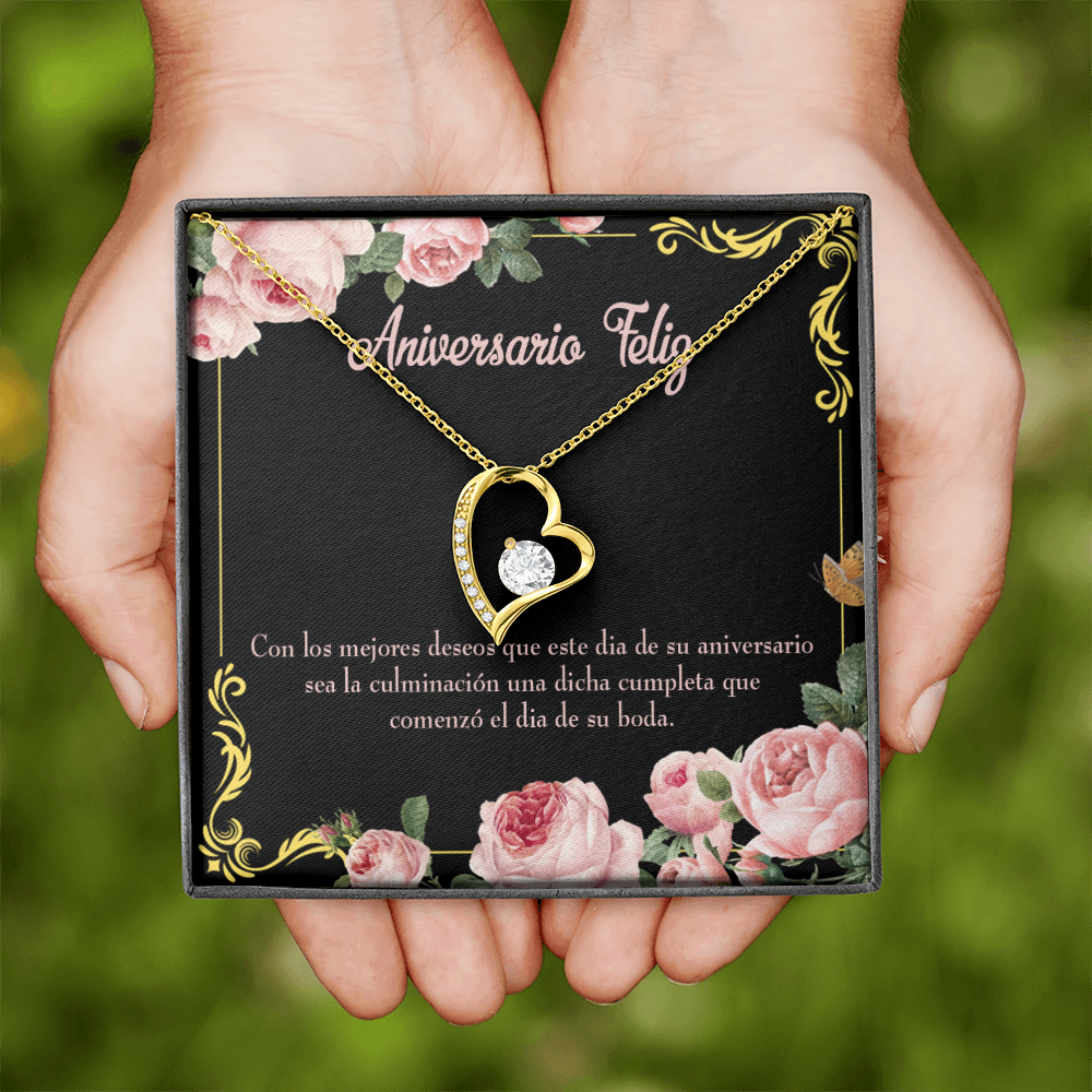 To My Wife Aniversario Feliz Forever Necklace w Message Card-Express Your Love Gifts