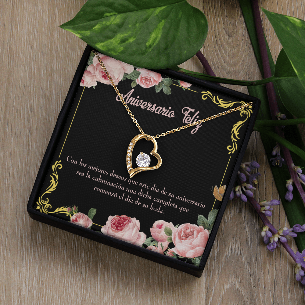 To My Wife Aniversario Feliz Forever Necklace w Message Card-Express Your Love Gifts