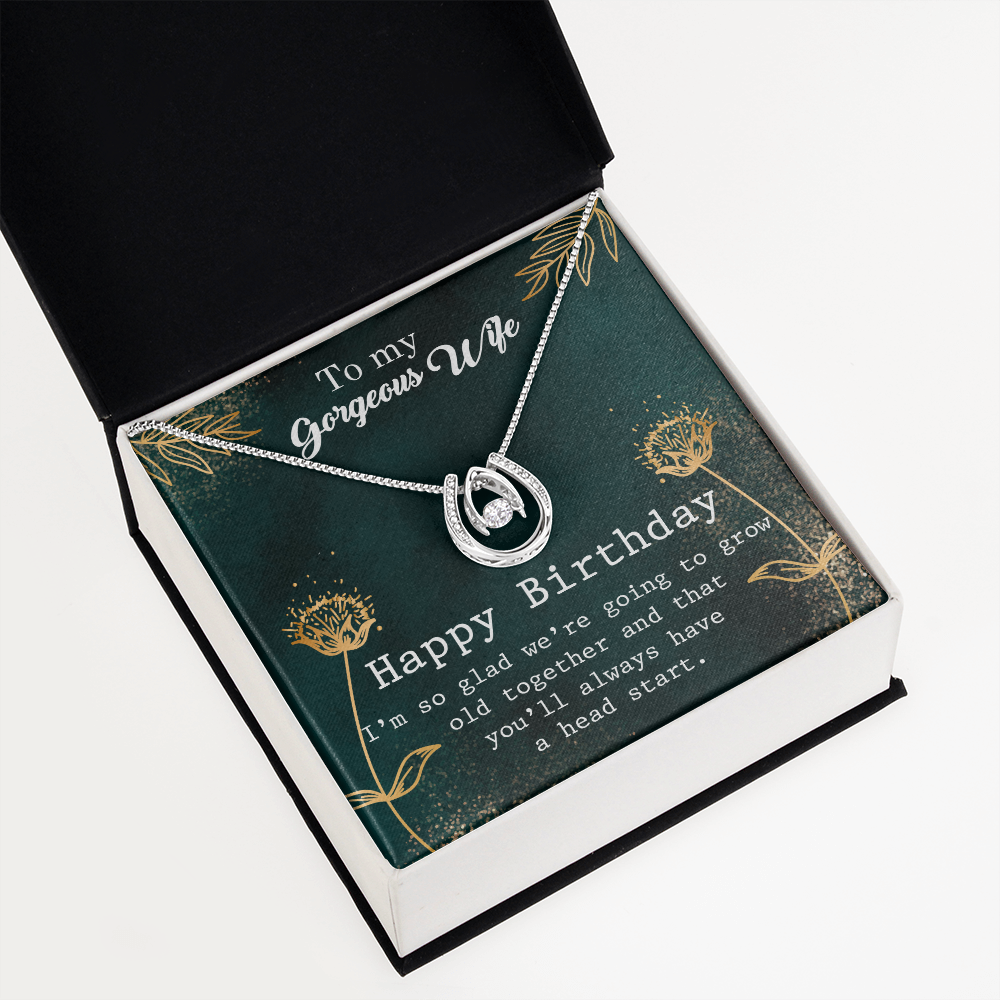 To My Wife Birthday Grow Old Together Lucky Horseshoe Necklace Message Card 14k w CZ Crystals-Express Your Love Gifts