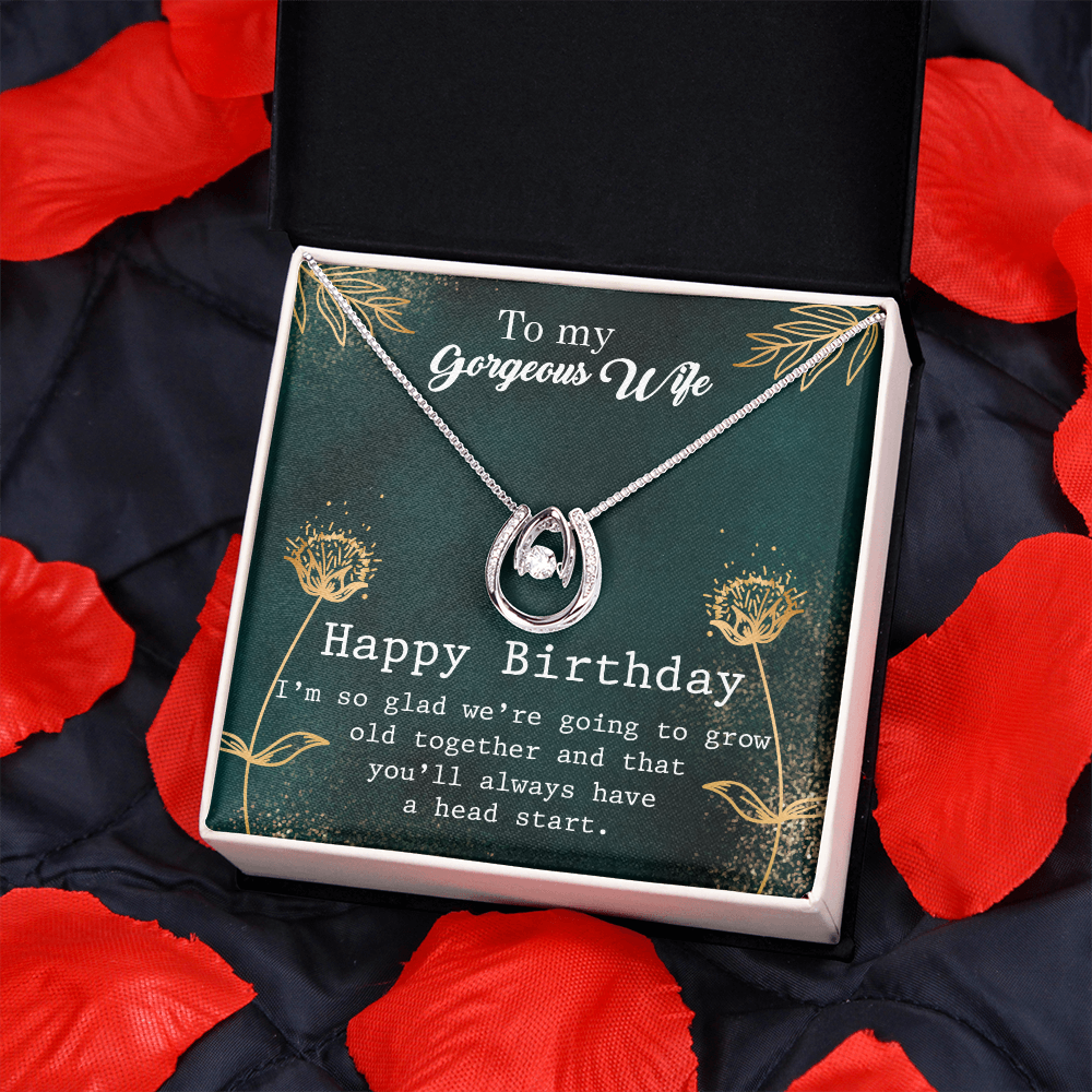 To My Wife Birthday Grow Old Together Lucky Horseshoe Necklace Message Card 14k w CZ Crystals-Express Your Love Gifts
