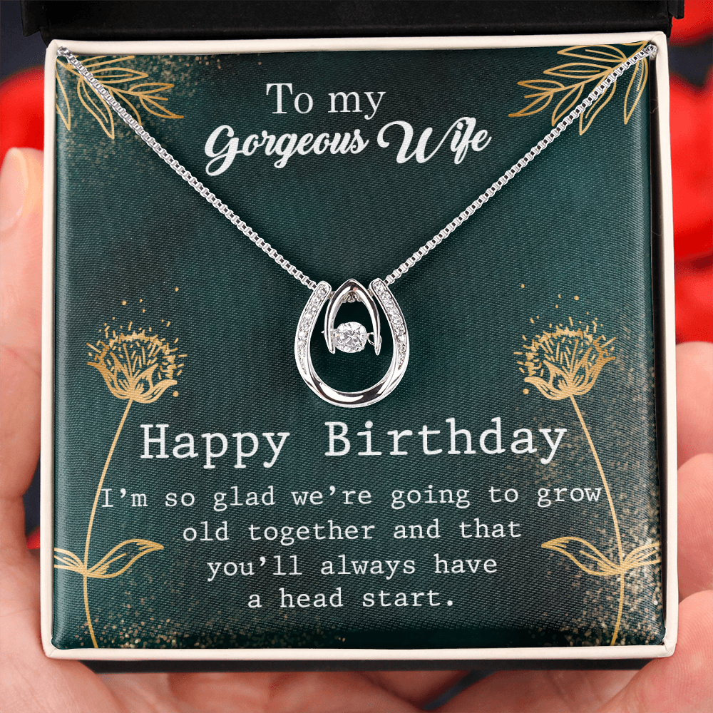 To My Wife Birthday Grow Old Together Lucky Horseshoe Necklace Message Card 14k w CZ Crystals-Express Your Love Gifts