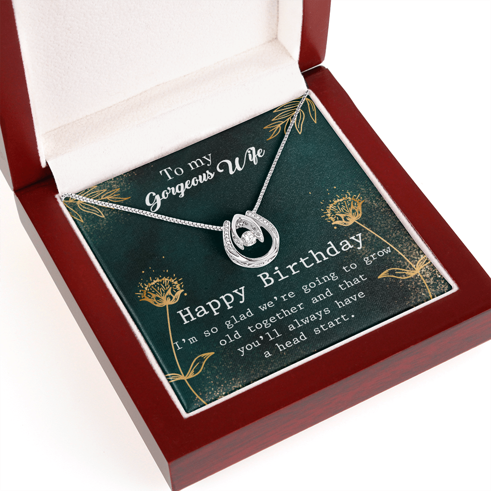 To My Wife Birthday Grow Old Together Lucky Horseshoe Necklace Message Card 14k w CZ Crystals-Express Your Love Gifts
