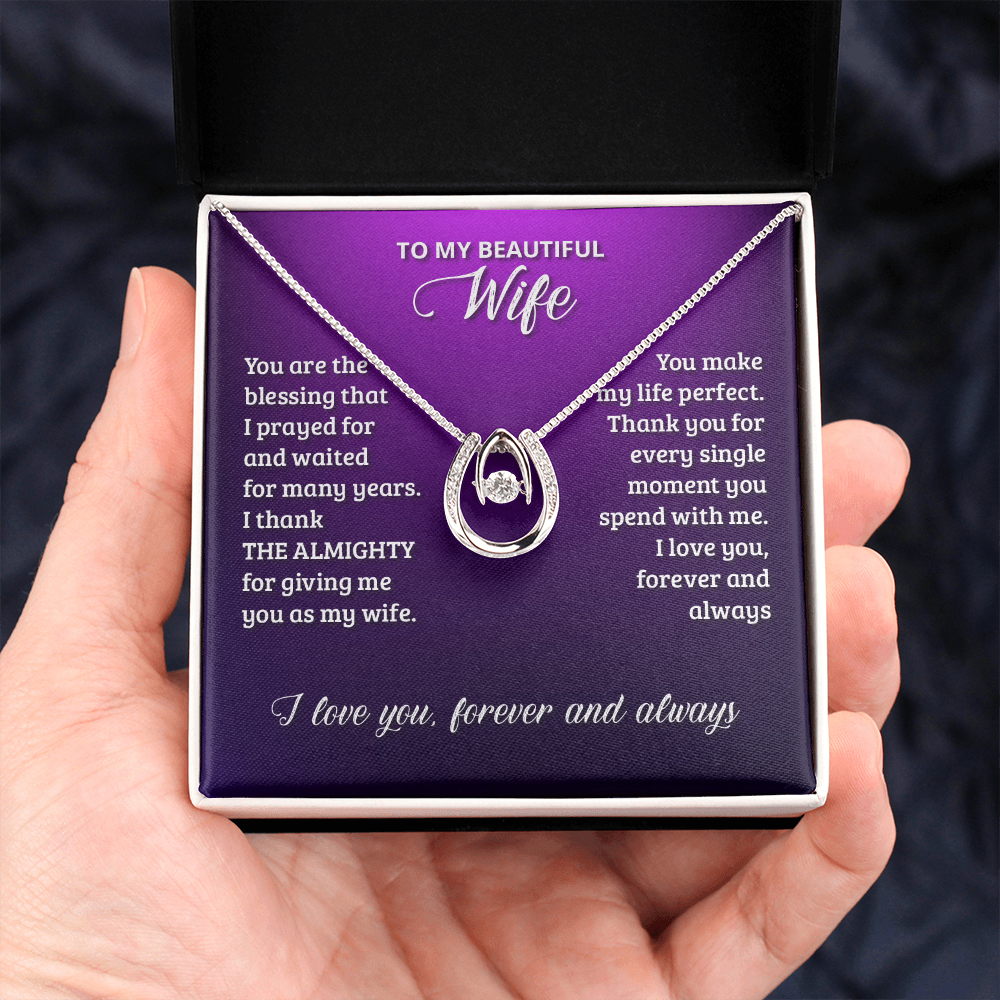 To My Wife Birthday You Are The Blessing Lucky Horseshoe Necklace Message Card 14k w CZ Crystals-Express Your Love Gifts