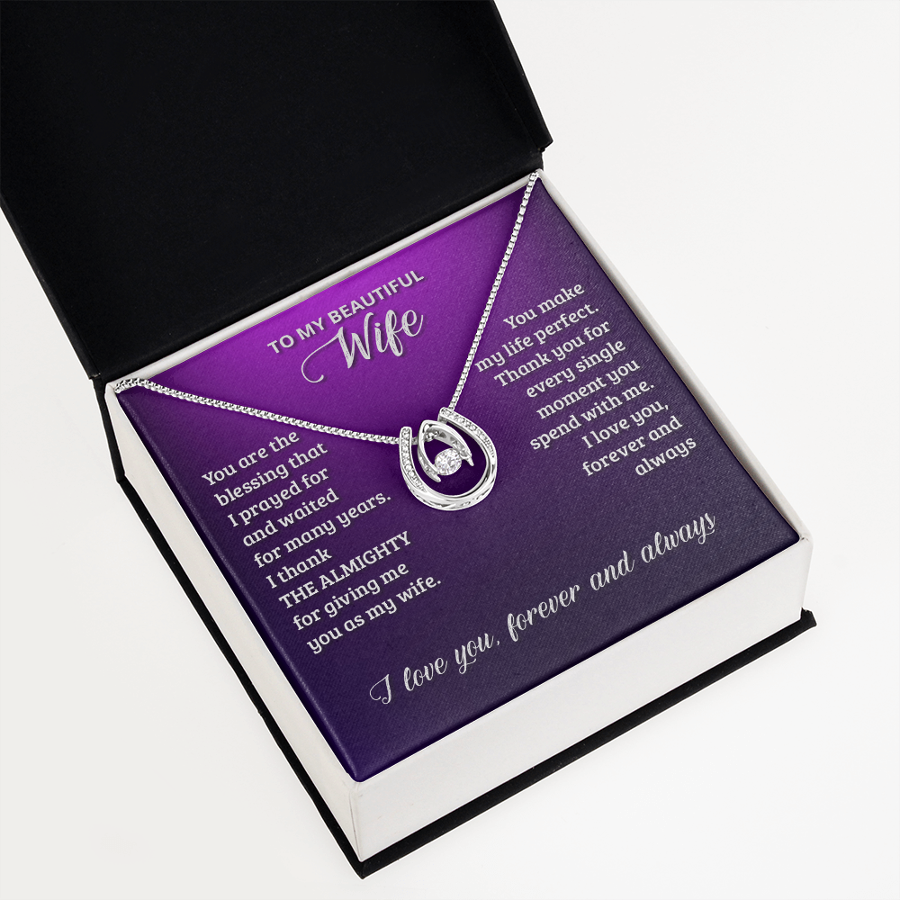 To My Wife Birthday You Are The Blessing Lucky Horseshoe Necklace Message Card 14k w CZ Crystals-Express Your Love Gifts