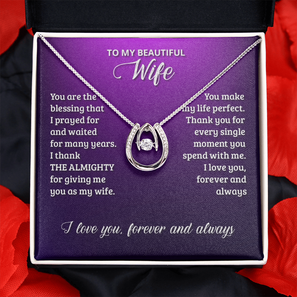 To My Wife Birthday You Are The Blessing Lucky Horseshoe Necklace Message Card 14k w CZ Crystals-Express Your Love Gifts