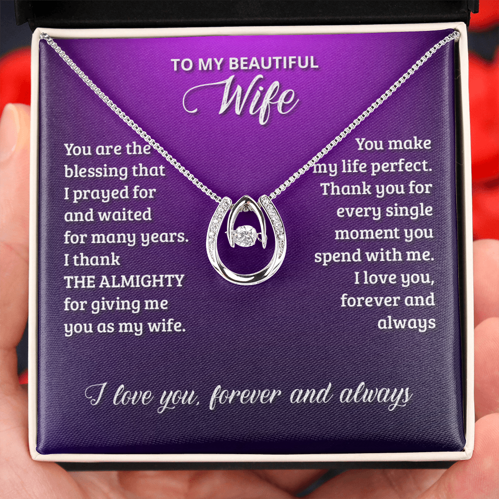 To My Wife Birthday You Are The Blessing Lucky Horseshoe Necklace Message Card 14k w CZ Crystals-Express Your Love Gifts