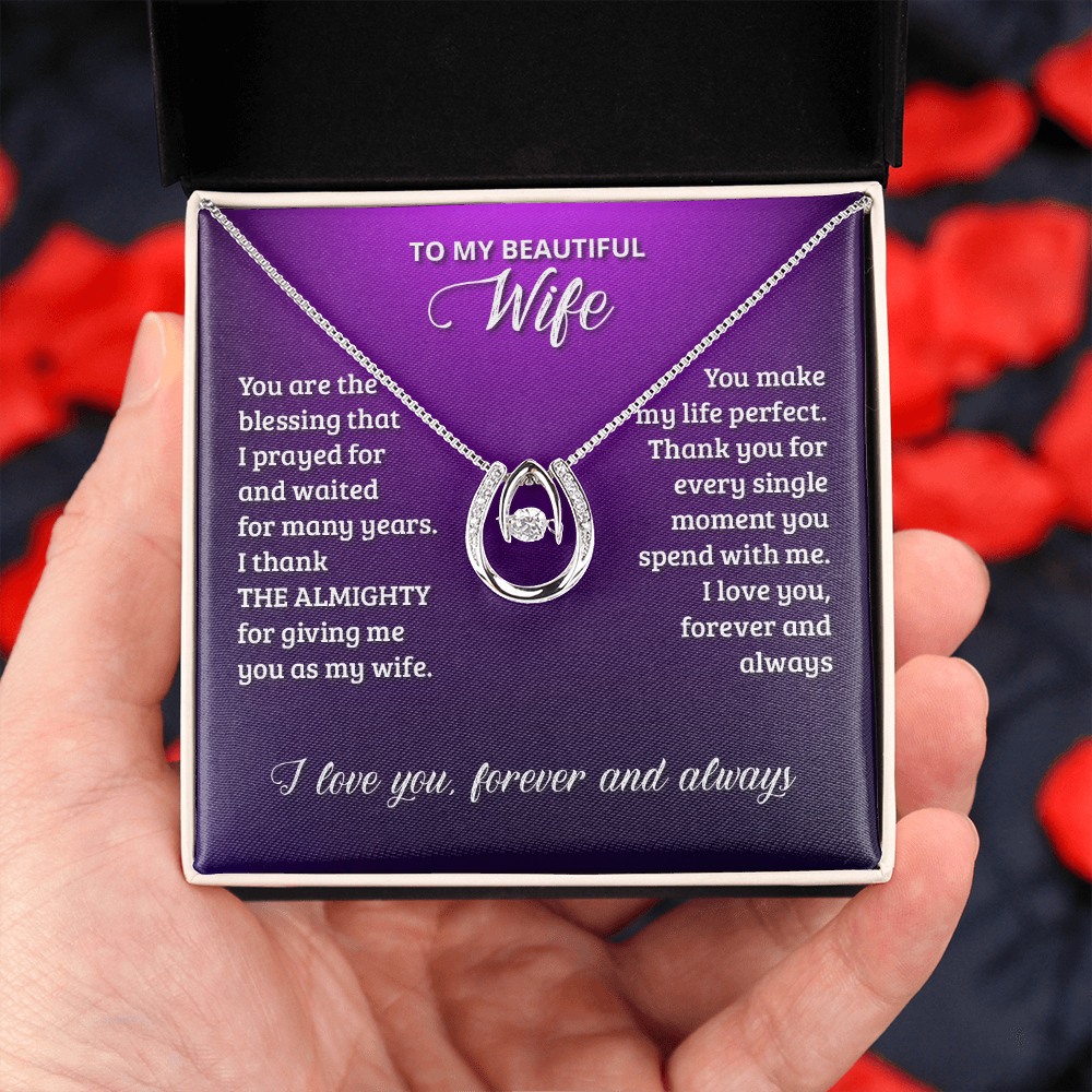 To My Wife Birthday You Are The Blessing Lucky Horseshoe Necklace Message Card 14k w CZ Crystals-Express Your Love Gifts