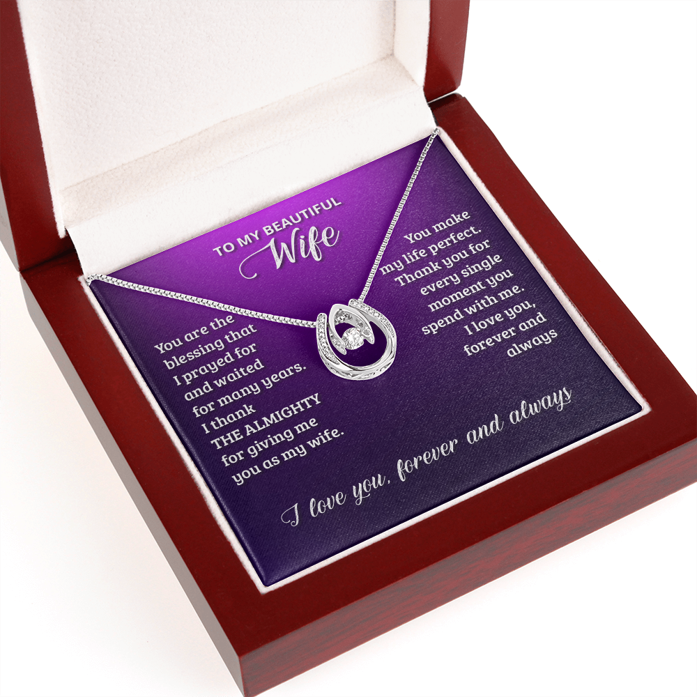 To My Wife Birthday You Are The Blessing Lucky Horseshoe Necklace Message Card 14k w CZ Crystals-Express Your Love Gifts