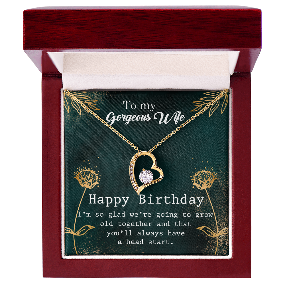 To My Wife Grow Old Birthday Message Forever Necklace w Message Card-Express Your Love Gifts