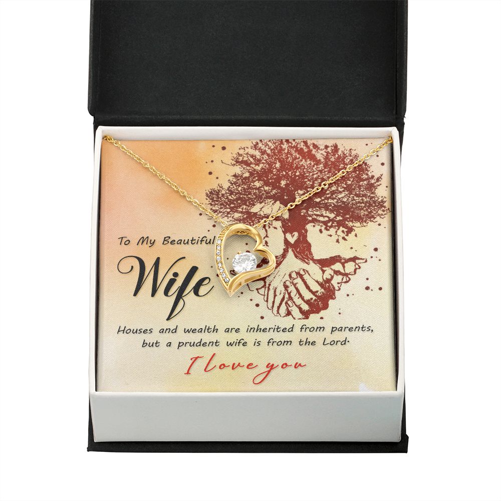 To My Wife House and Wealth Forever Necklace w Message Card-Express Your Love Gifts