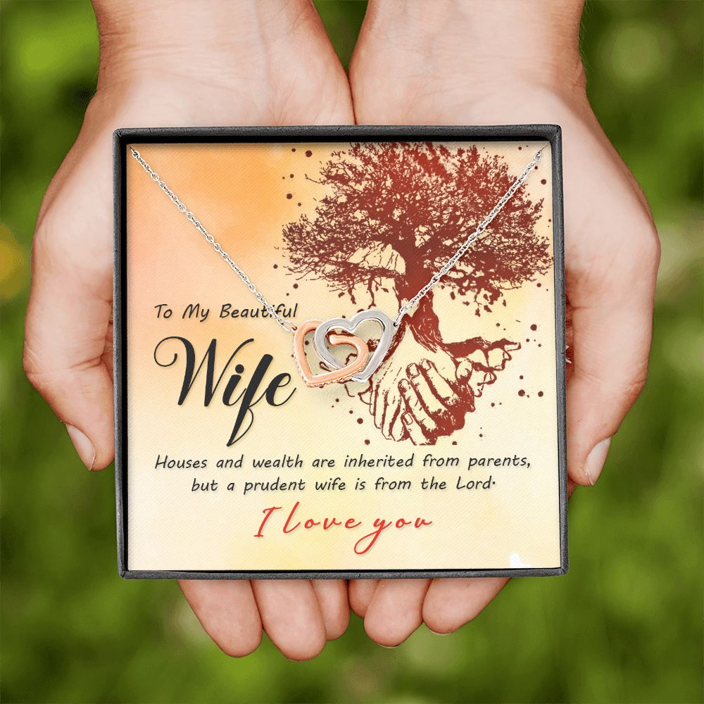 To My Wife House and Wealth Inseparable Necklace-Express Your Love Gifts