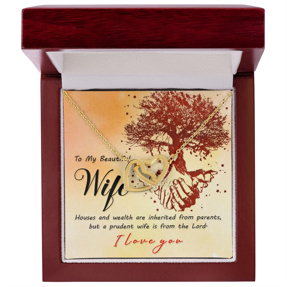 To My Wife House and Wealth Inseparable Necklace-Express Your Love Gifts