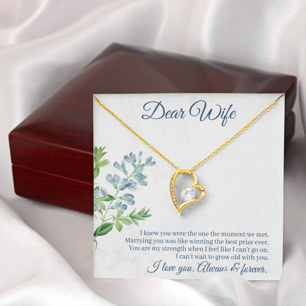 To My Wife I Knew You Were The One Forever Necklace w Message Card-Express Your Love Gifts