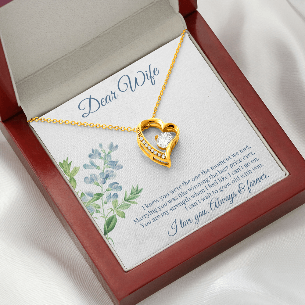 To My Wife I Knew You Were The One Forever Necklace w Message Card-Express Your Love Gifts