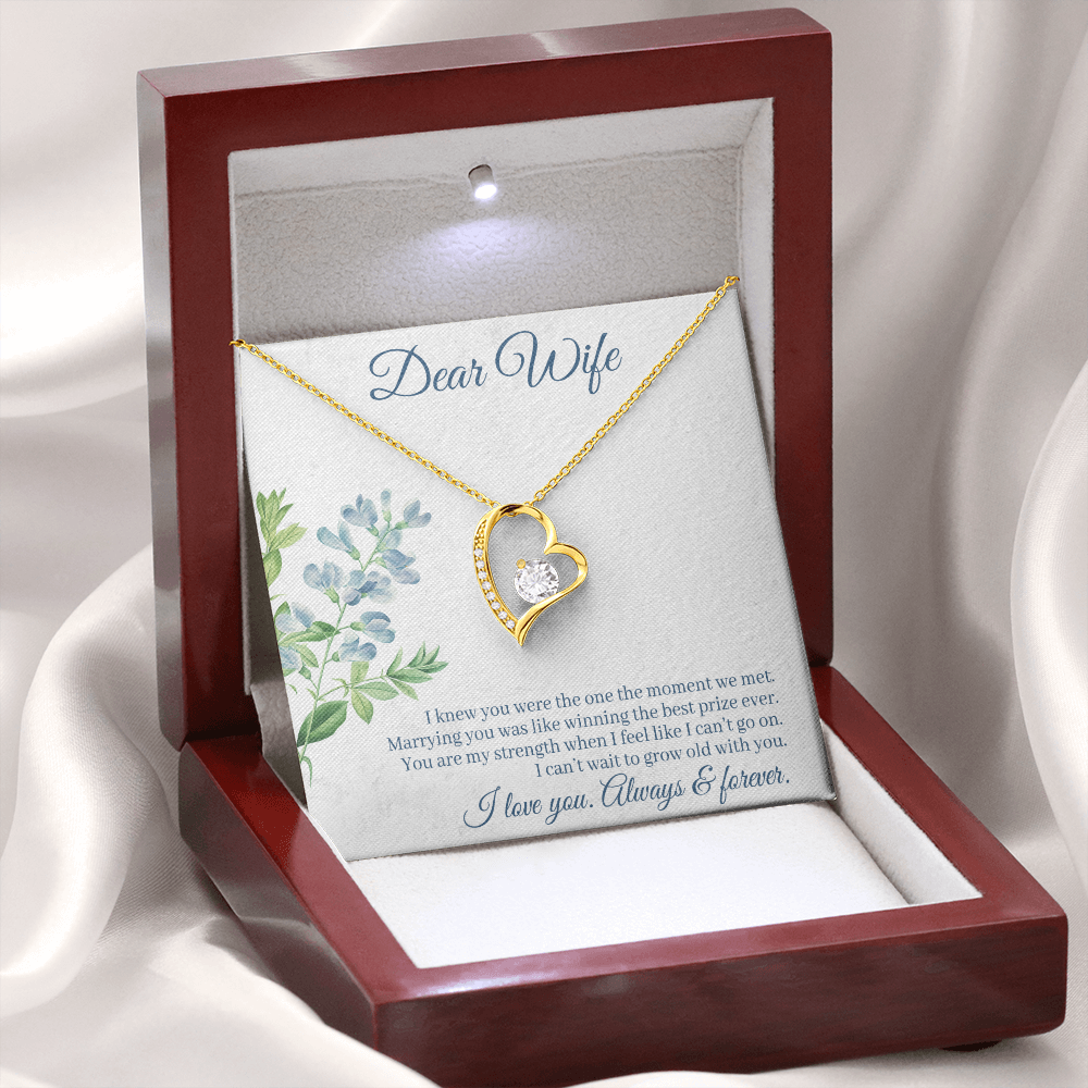 To My Wife I Knew You Were The One Forever Necklace w Message Card-Express Your Love Gifts