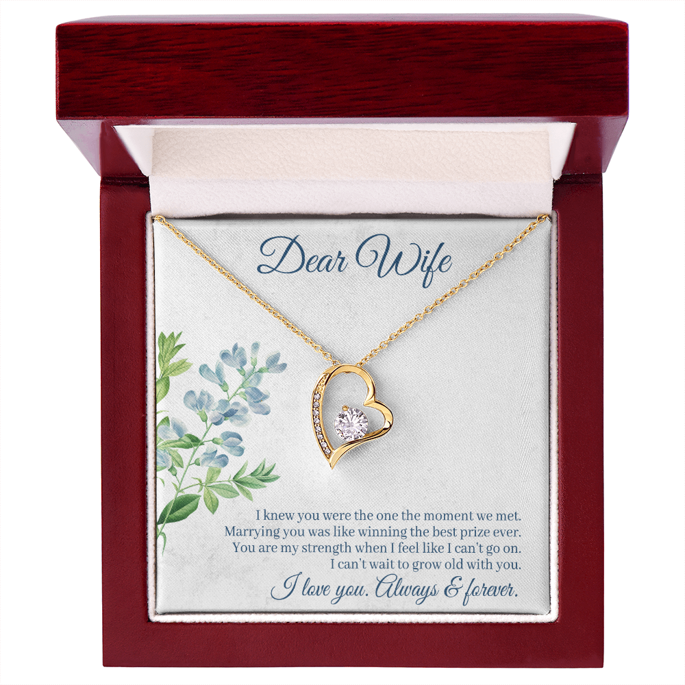 To My Wife I Knew You Were The One Forever Necklace w Message Card-Express Your Love Gifts