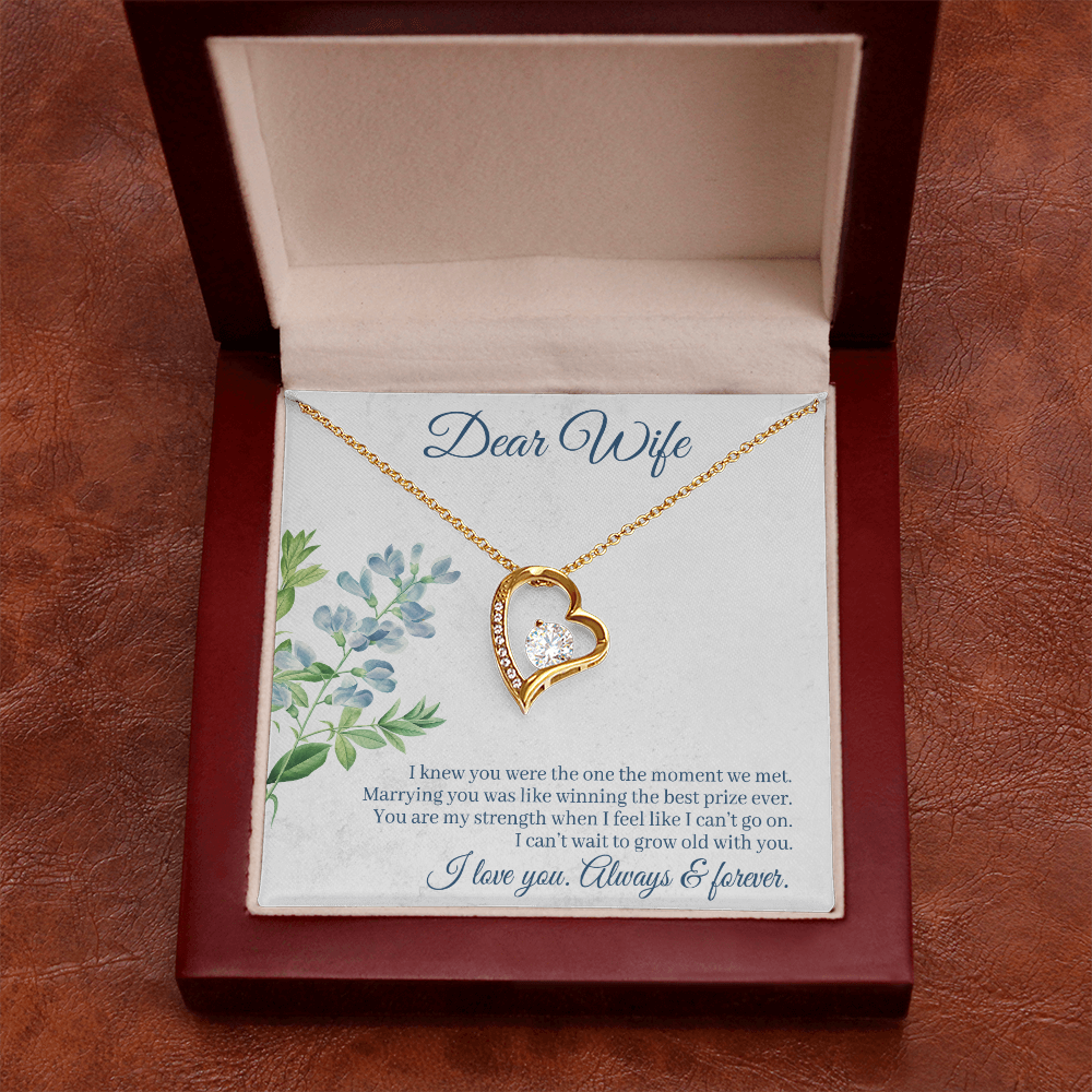 To My Wife I Knew You Were The One Forever Necklace w Message Card-Express Your Love Gifts