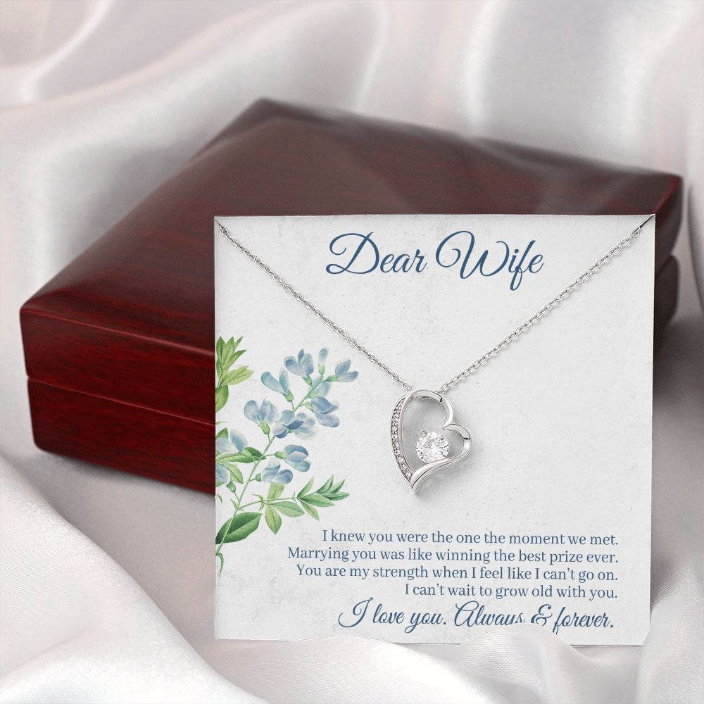 To My Wife I Knew You Were The One Forever Necklace w Message Card-Express Your Love Gifts