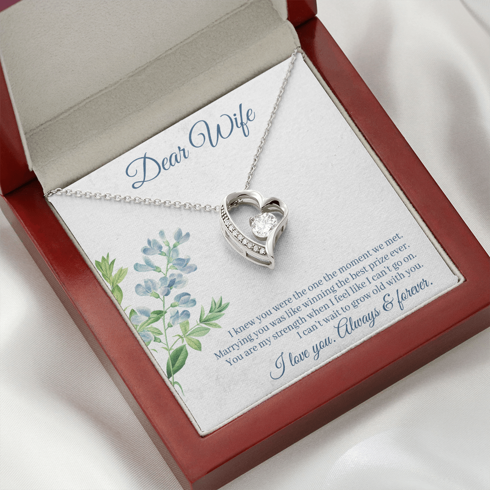 To My Wife I Knew You Were The One Forever Necklace w Message Card-Express Your Love Gifts