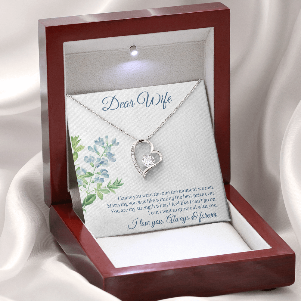 To My Wife I Knew You Were The One Forever Necklace w Message Card-Express Your Love Gifts