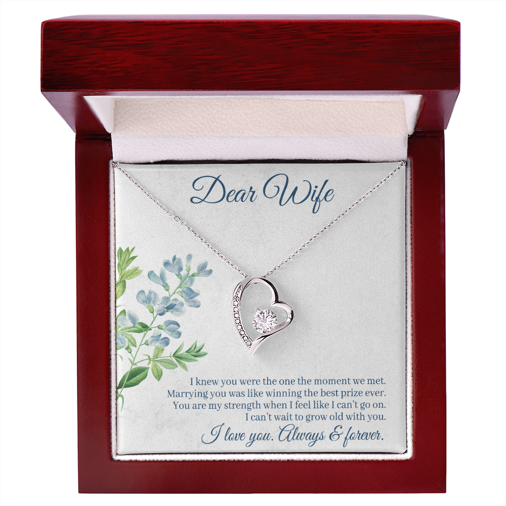 To My Wife I Knew You Were The One Forever Necklace w Message Card-Express Your Love Gifts