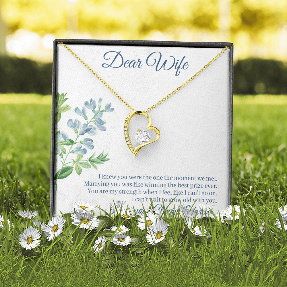 To My Wife I Knew You Were The One Forever Necklace w Message Card-Express Your Love Gifts