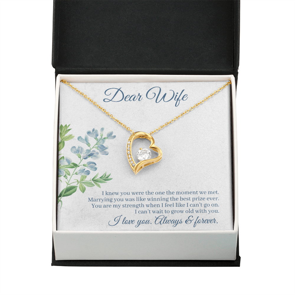 To My Wife I Knew You Were The One Forever Necklace w Message Card-Express Your Love Gifts