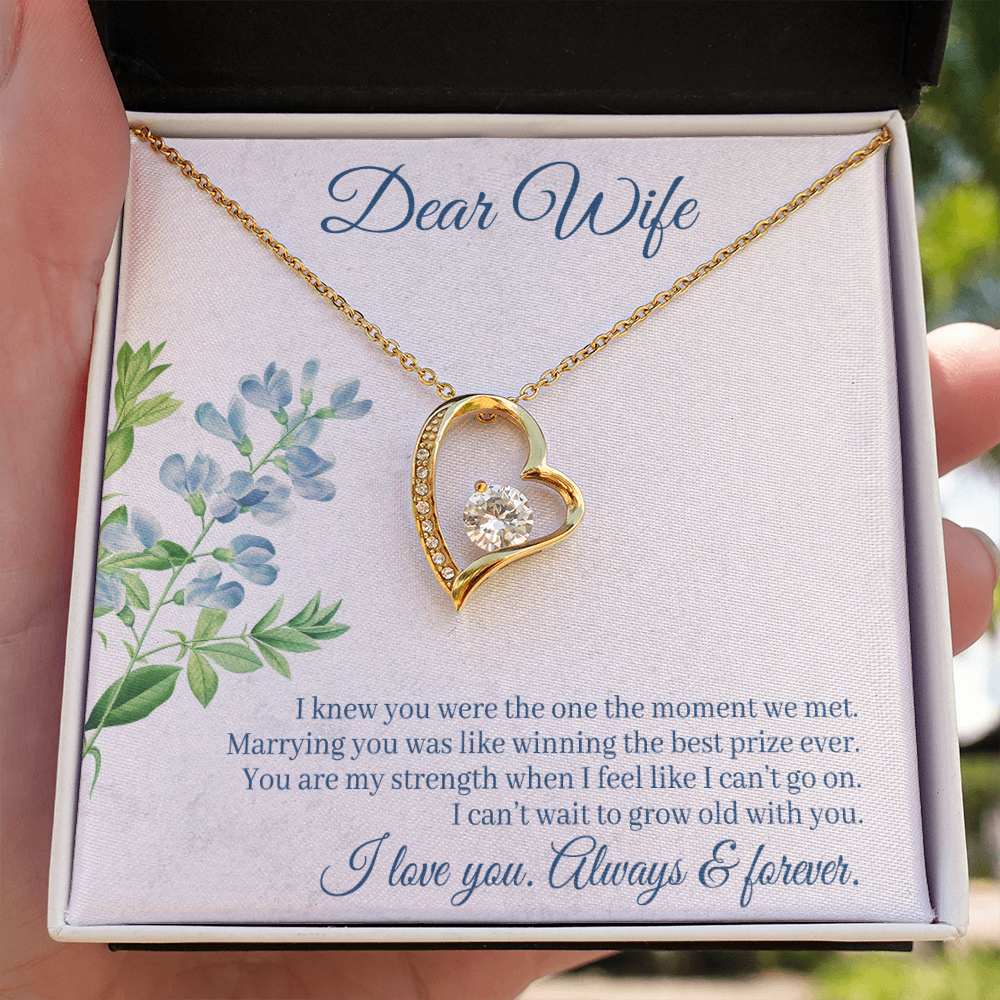 To My Wife I Knew You Were The One Forever Necklace w Message Card-Express Your Love Gifts