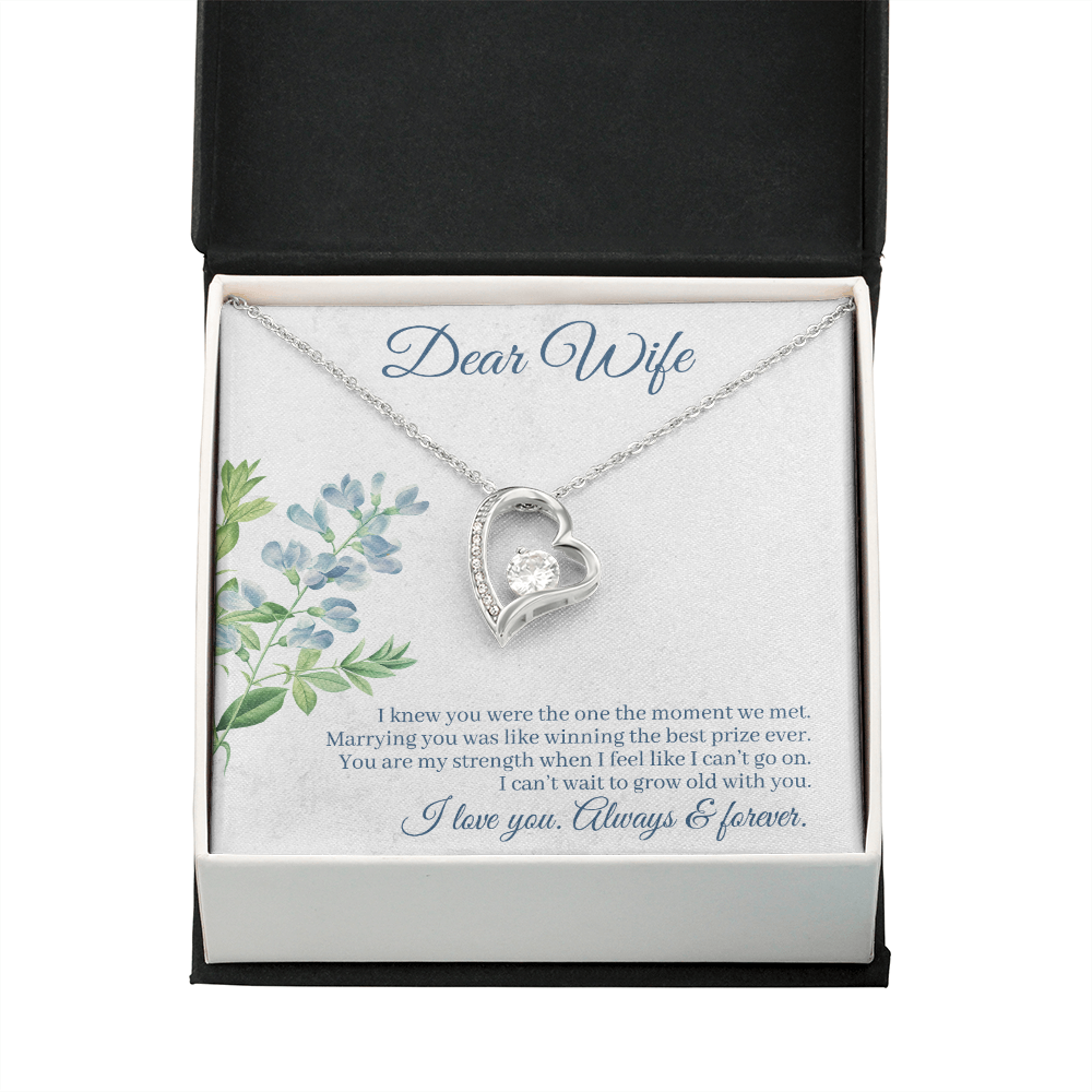 To My Wife I Knew You Were The One Forever Necklace w Message Card-Express Your Love Gifts