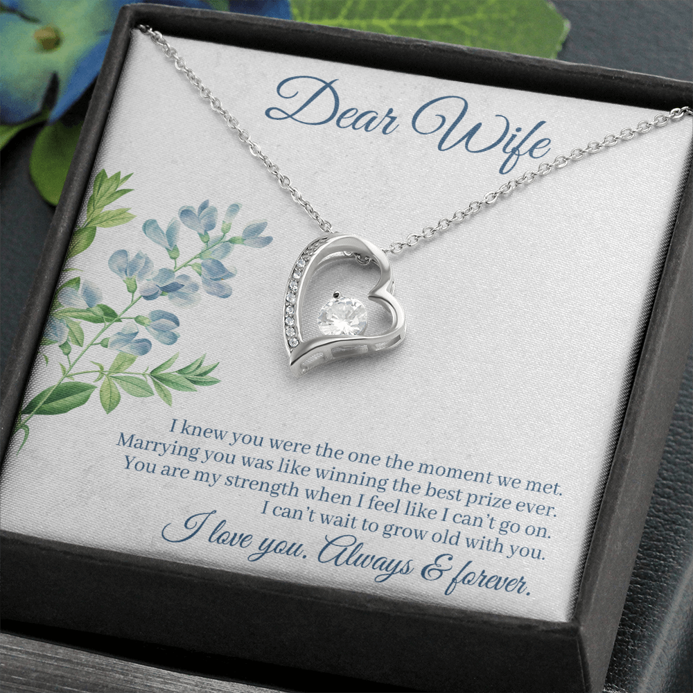 To My Wife I Knew You Were The One Forever Necklace w Message Card-Express Your Love Gifts
