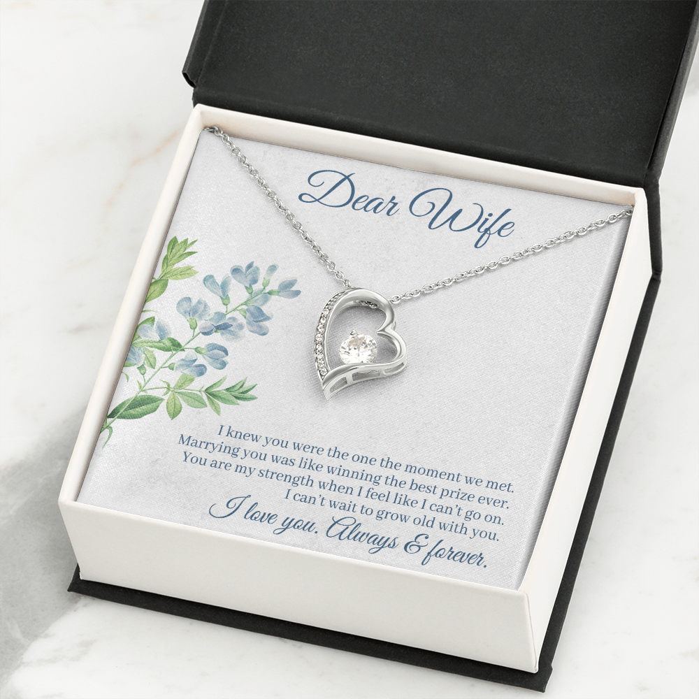 To My Wife I Knew You Were The One Forever Necklace w Message Card-Express Your Love Gifts