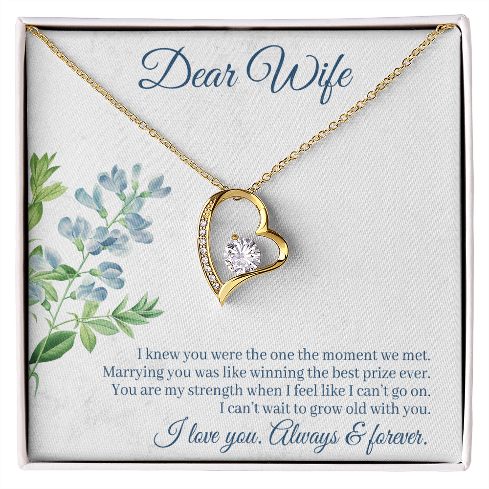 To My Wife I Knew You Were The One Forever Necklace w Message Card-Express Your Love Gifts