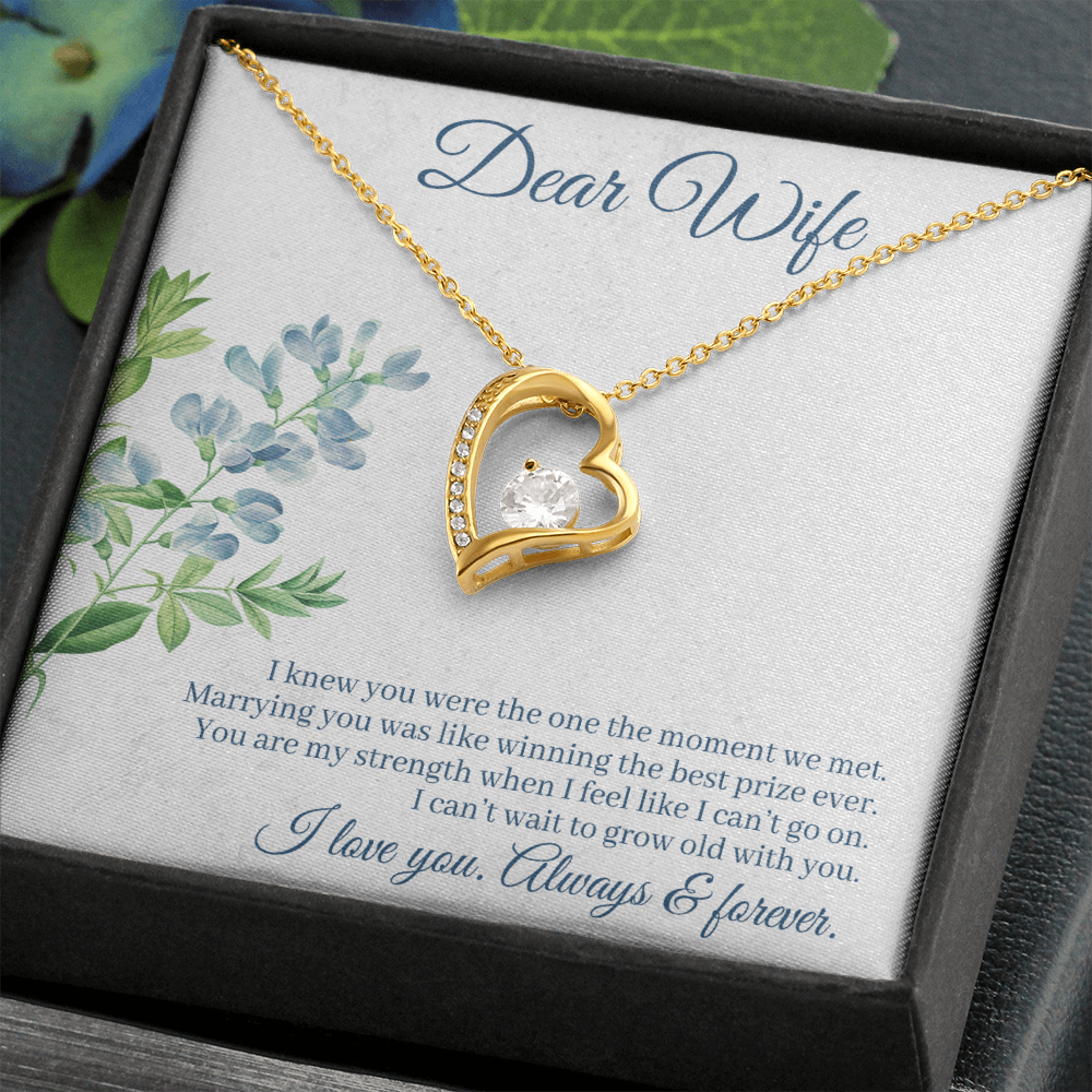 To My Wife I Knew You Were The One Forever Necklace w Message Card-Express Your Love Gifts