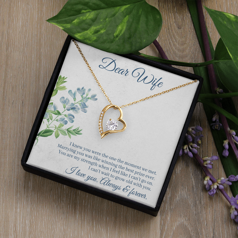 To My Wife I Knew You Were The One Forever Necklace w Message Card-Express Your Love Gifts