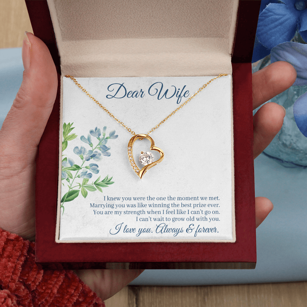 To My Wife I Knew You Were The One Forever Necklace w Message Card-Express Your Love Gifts